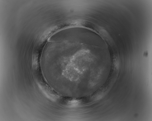 X0000116800312200912181323