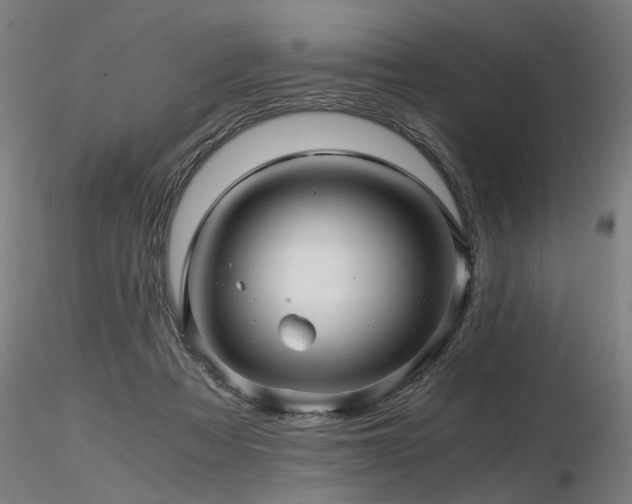 X0000116800313200912181323