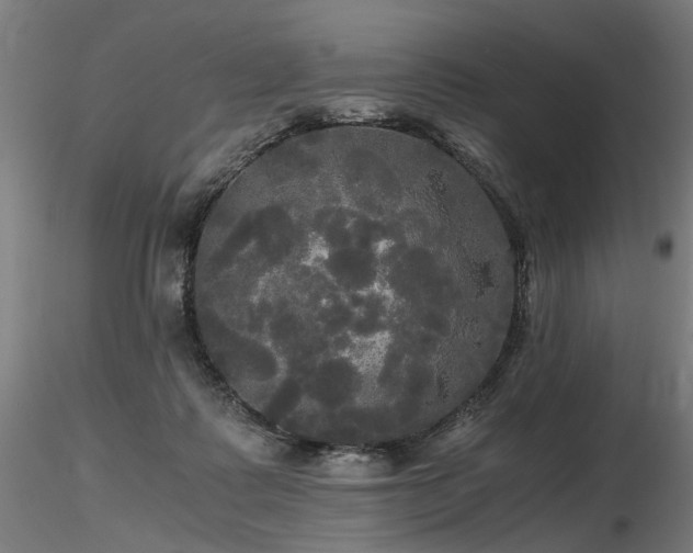 X0000116800315200912181323