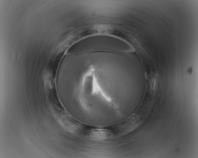 X0000116800316200912181323