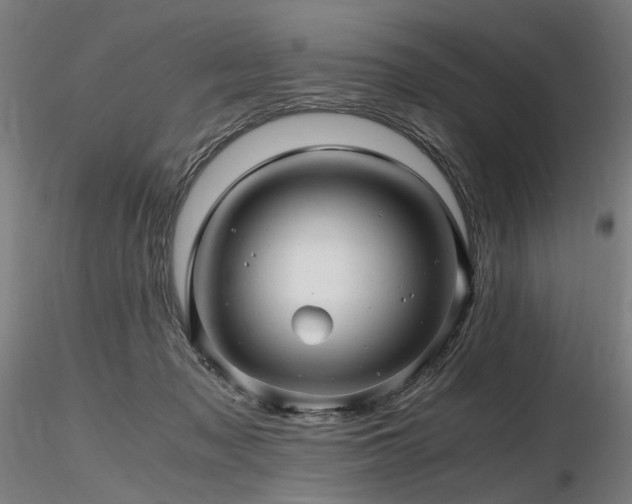 X0000116800317200912181323