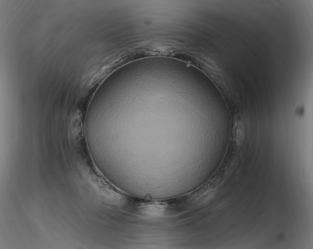 X0000116800318200912181323