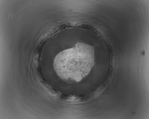 X0000116800319200912181323