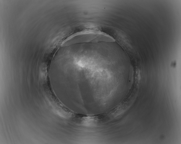 X0000116800320200912181323