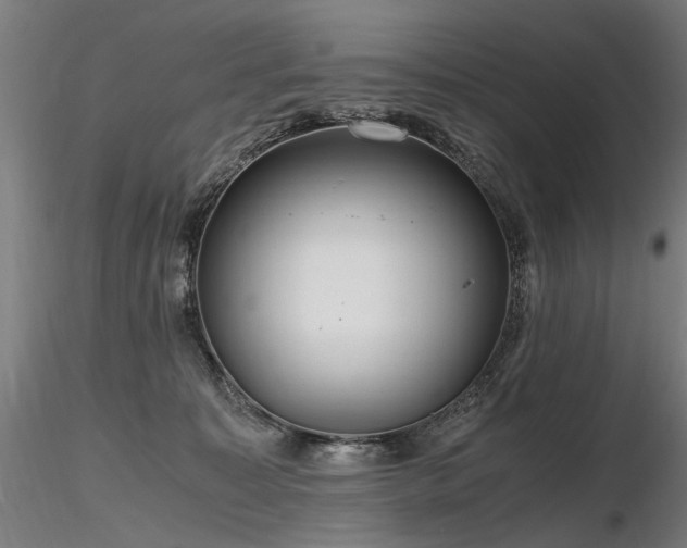 X0000116800323200912181323