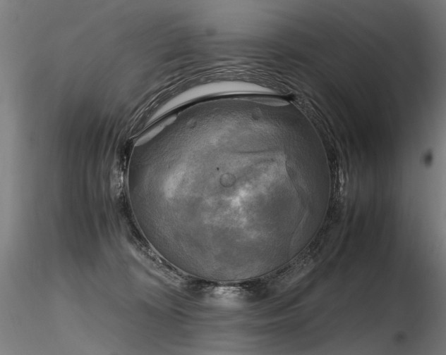 X0000116800324200912181323