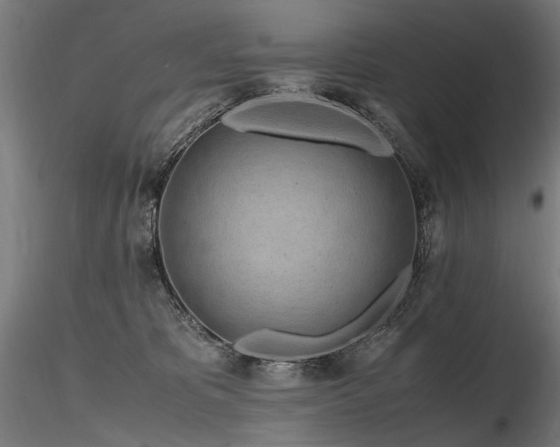 X0000116800325200912181323