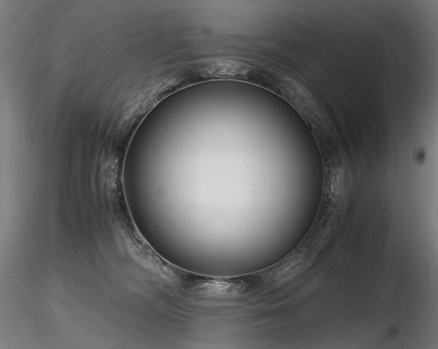 X0000116800326200912181323