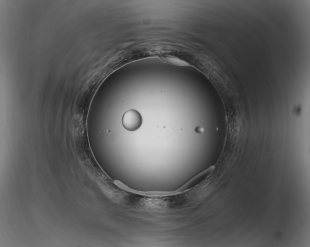 X0000116800327200912181323