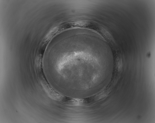 X0000116800328200912181323