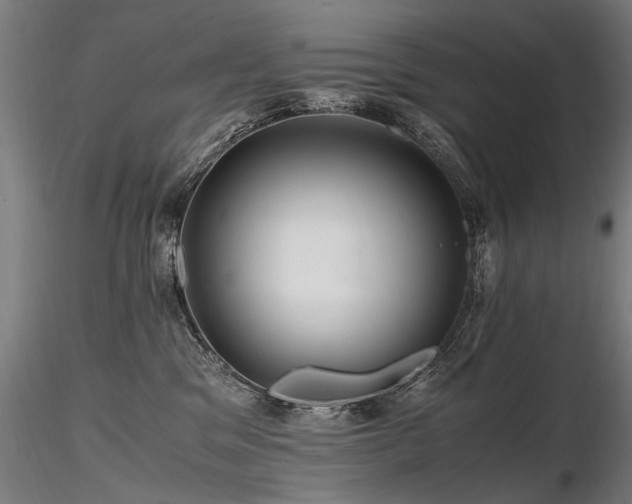 X0000116800329200912181323