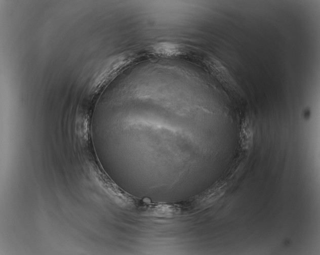 X0000116800330200912181323