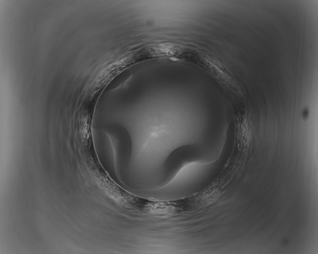 X0000116800331200912181323