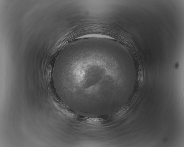 X0000116800332200912181323