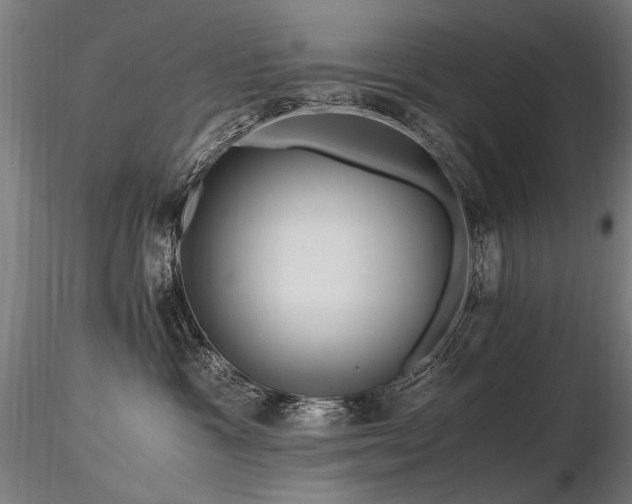 X0000116800333200912181323