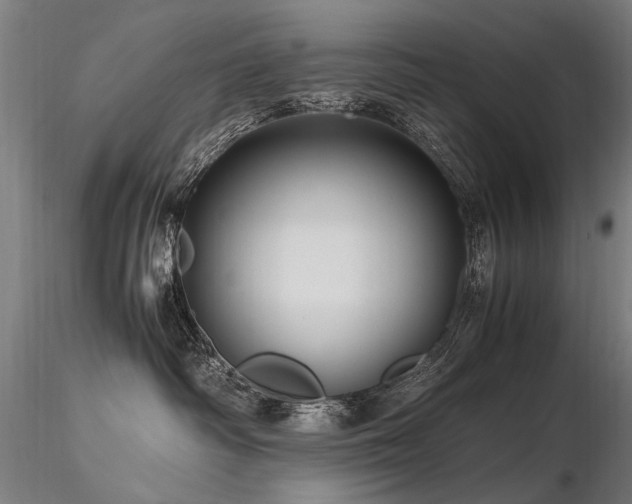 X0000116800334200912181323