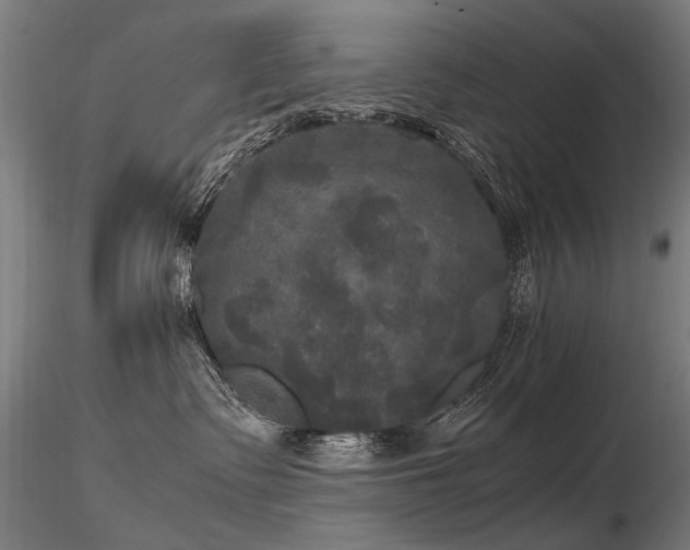 X0000116800335200912181323