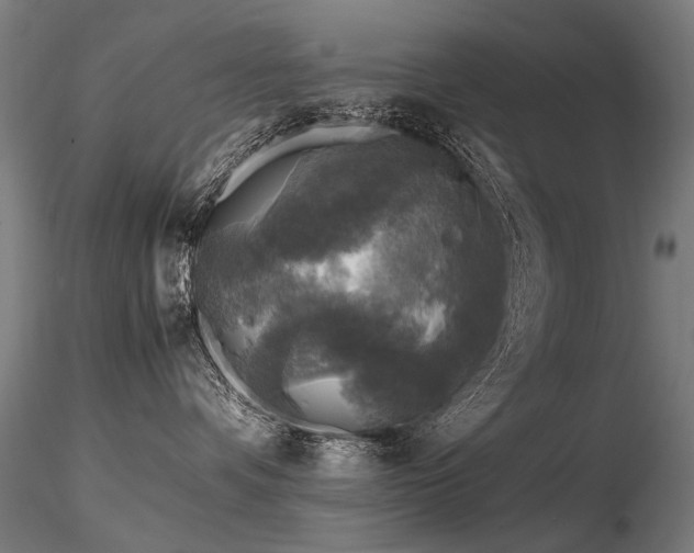 X0000116800336200912181323