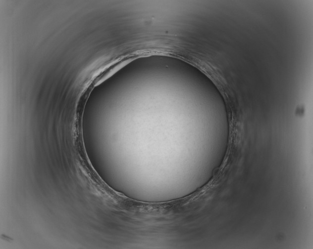 X0000116800338200912181322