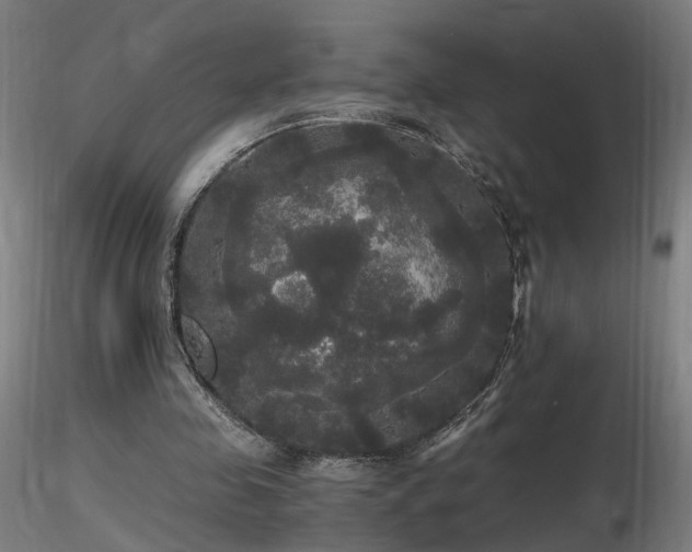 X0000116800341200912181323