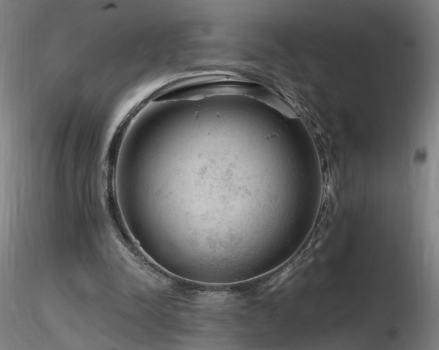 X0000116800342200912181323