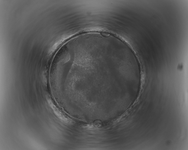 X0000116800345200912181323