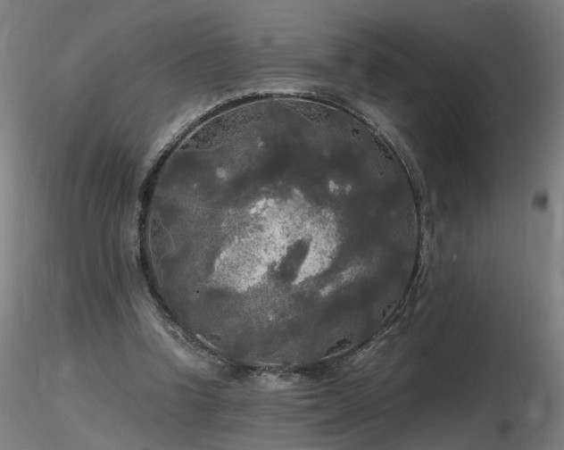 X0000116800346200912181323