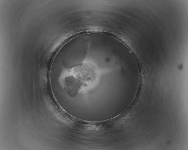 X0000116800347200912181323