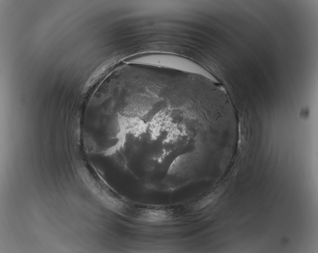 X0000116800349200912181323