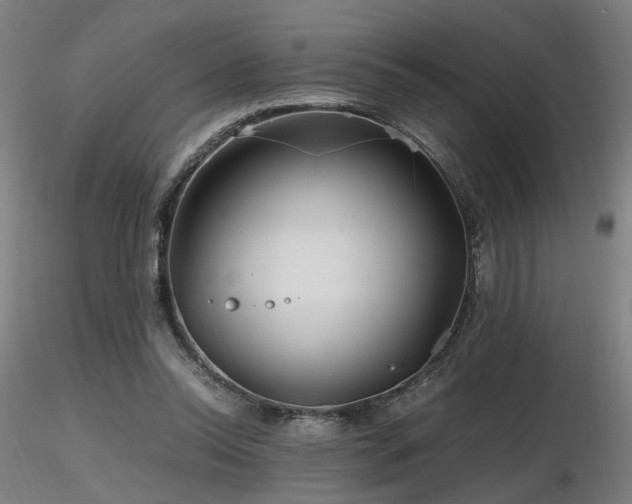 X0000116800350200912181323