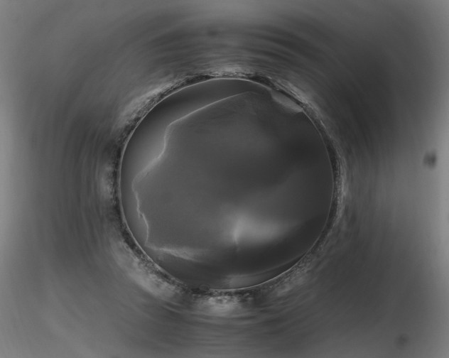 X0000116800353200912181323