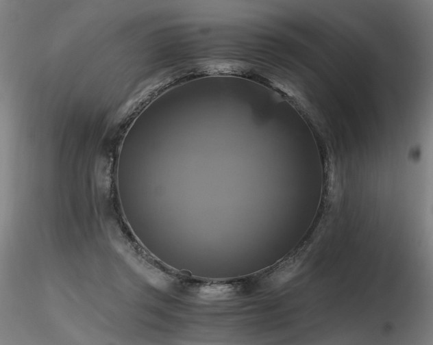 X0000116800357200912181323