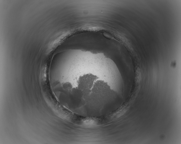 X0000116800358200912181323