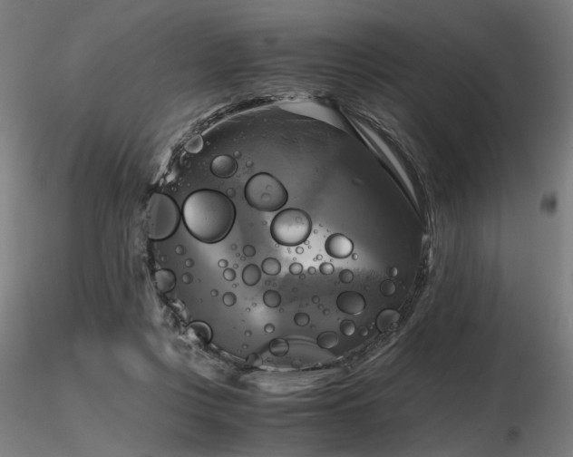 X0000116800359200912181323