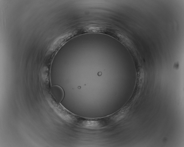 X0000116800361200912181323