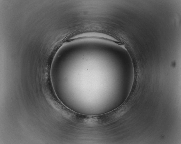 X0000116800362200912181323