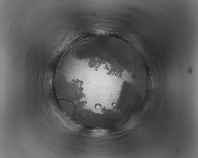 X0000116800363200912181323