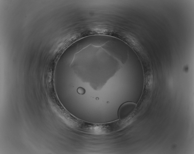 X0000116800365200912181323