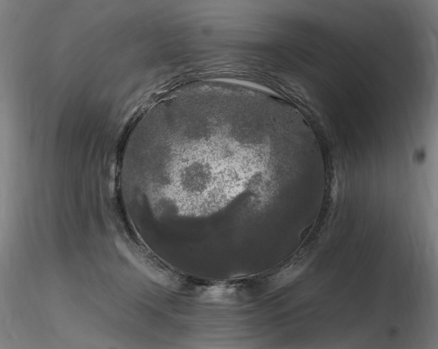 X0000116800366200912181323