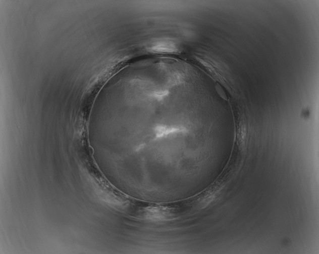 X0000116800367200912181323