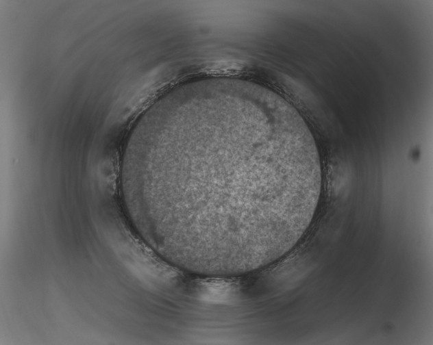 X0000116800370200912181323