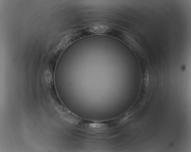 X0000116800371200912181323