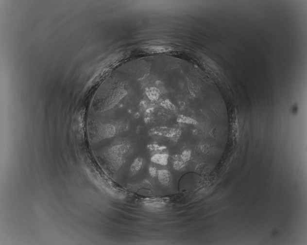 X0000116800373200912181323