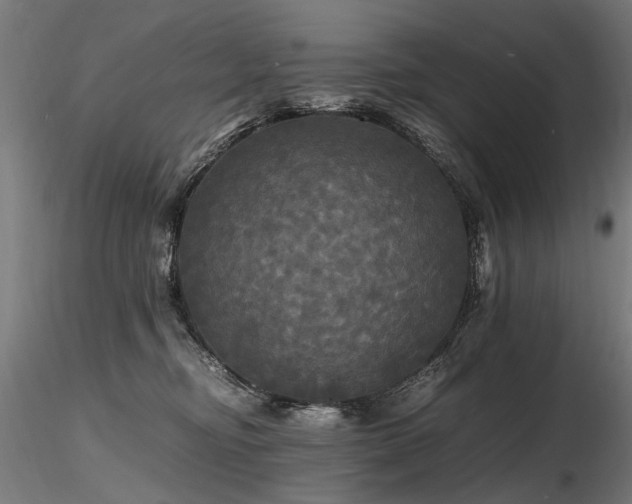 X0000116800374200912181323