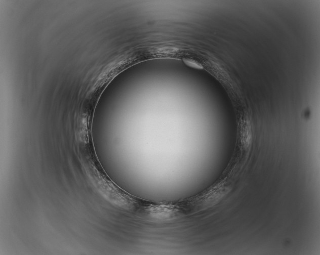 X0000116800378200912181323