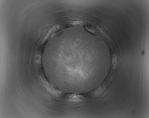 X0000116800379200912181323