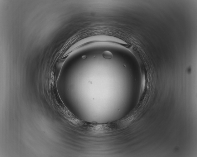 X0000116800382200912181323