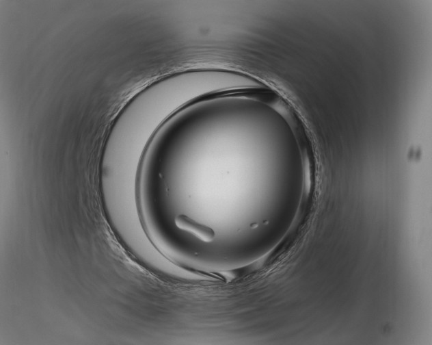 X0000116800385200912181322