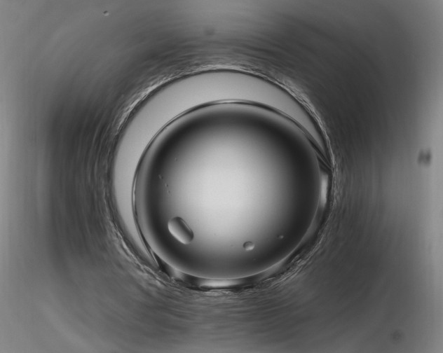 X0000116800386200912181322