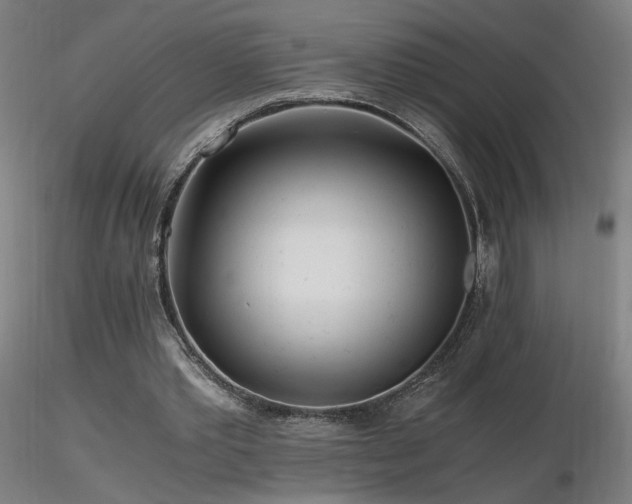 X0000116800389200912181322